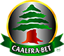 caalfrabet.com.mx caalfrabet.com.mx