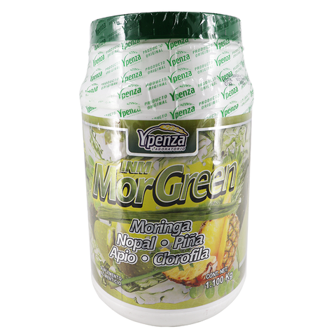 POLVO PARA PREPARAR BEBIDA DE MORINGA MORGREEN 1.100 KG