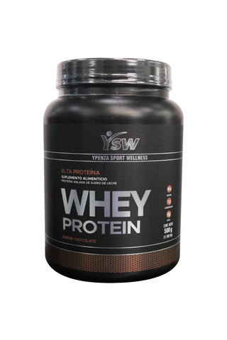 WHEY PROTEIN CHOCOLATE BOTE 500 GRS 1X12*
