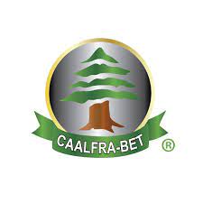 caalfrabet.com.mx
