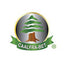 caalfrabet.com.mx